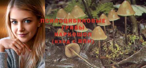a pvp Баксан