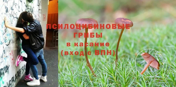 сатива Балабаново