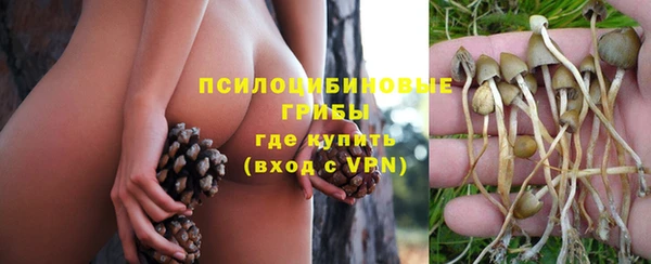 сатива Балабаново